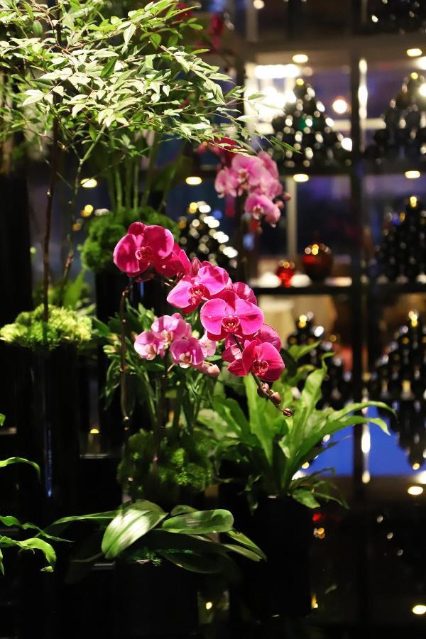 酒店 北京富力万丽酒店 5*